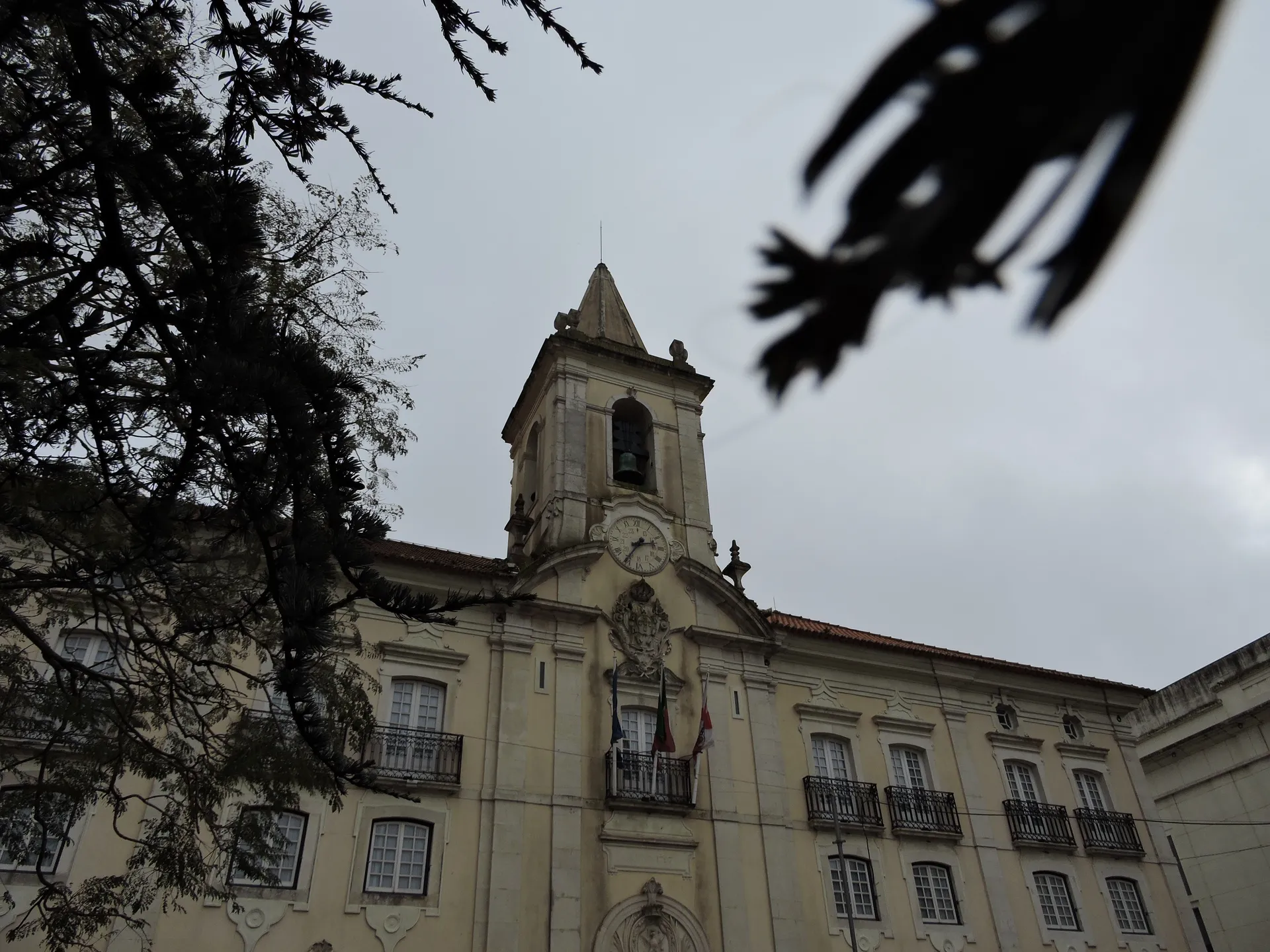 Edificio camara de aveiro 1 2021 3