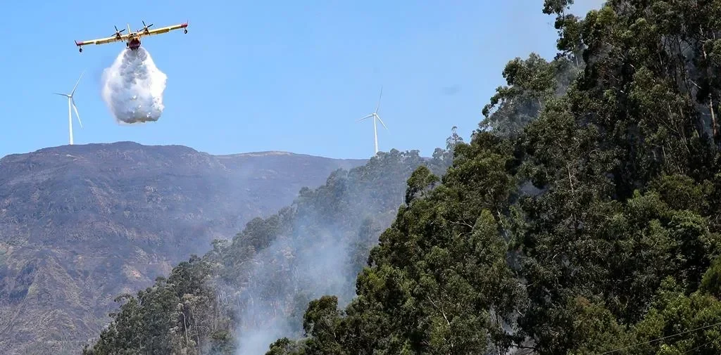 Avião Incêndio Lusa 2