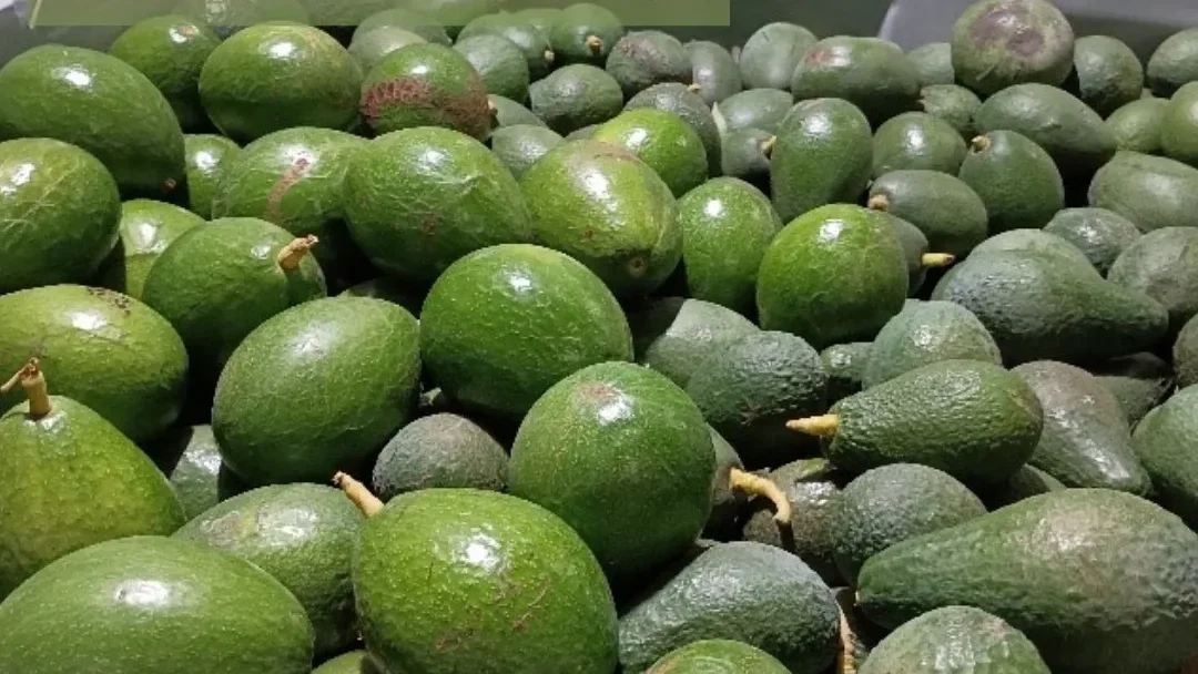 Fruta Asae