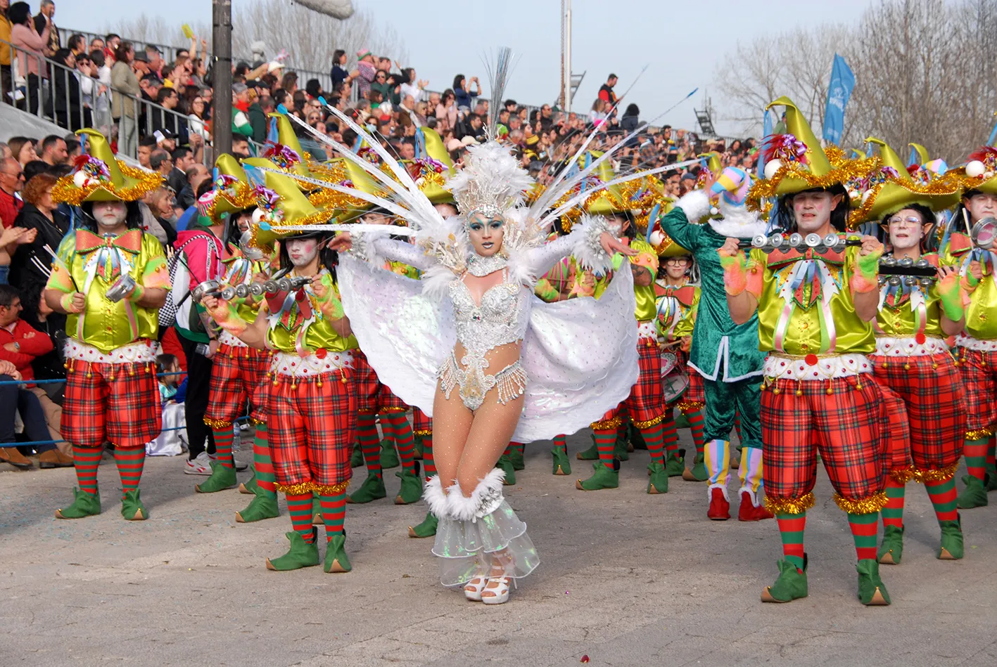 Carnaval Estarreja