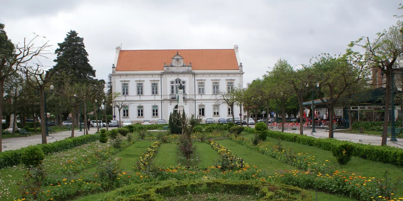 Camara Mealhada 2