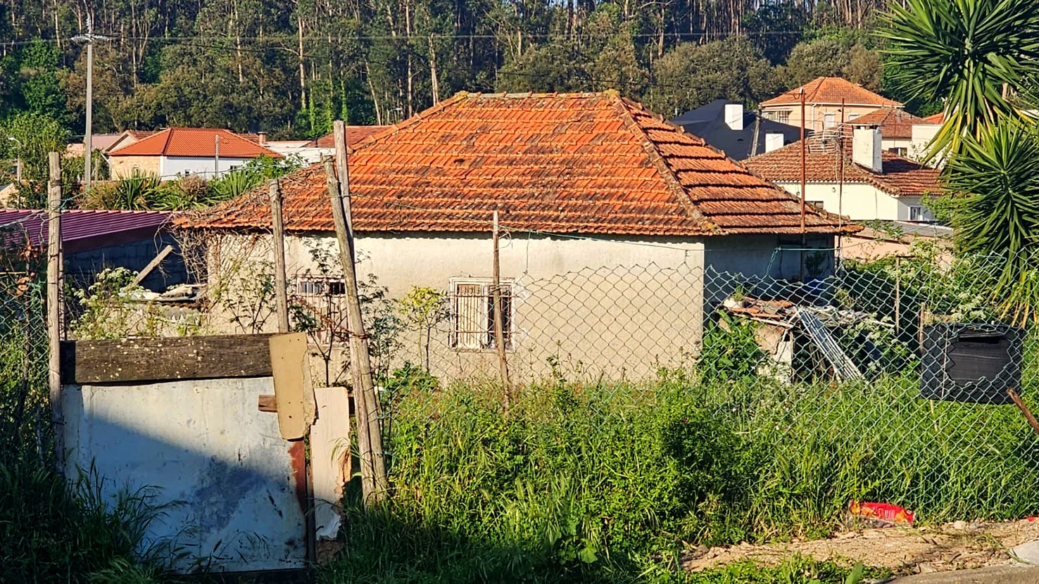 D Homicídiolourosa
