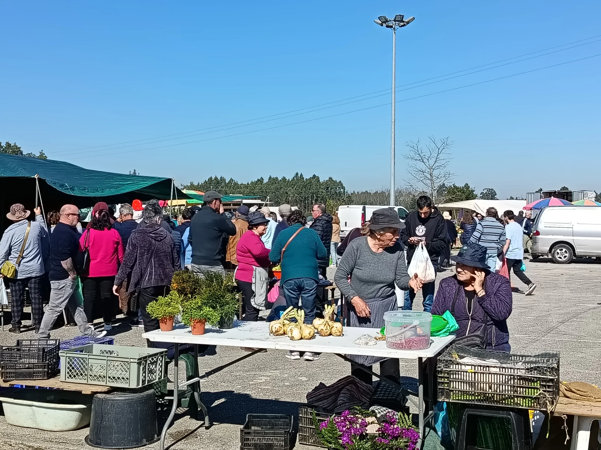 Feira Palhaca