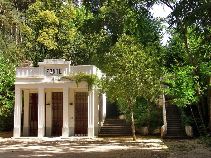 D Termas