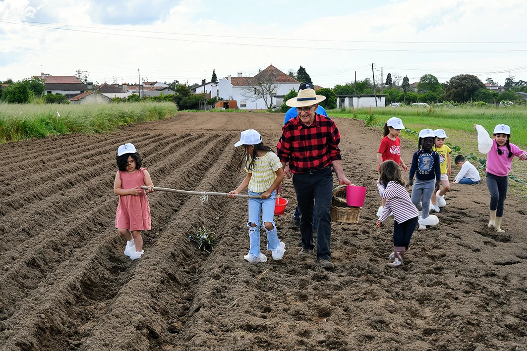 Edu 3834~2