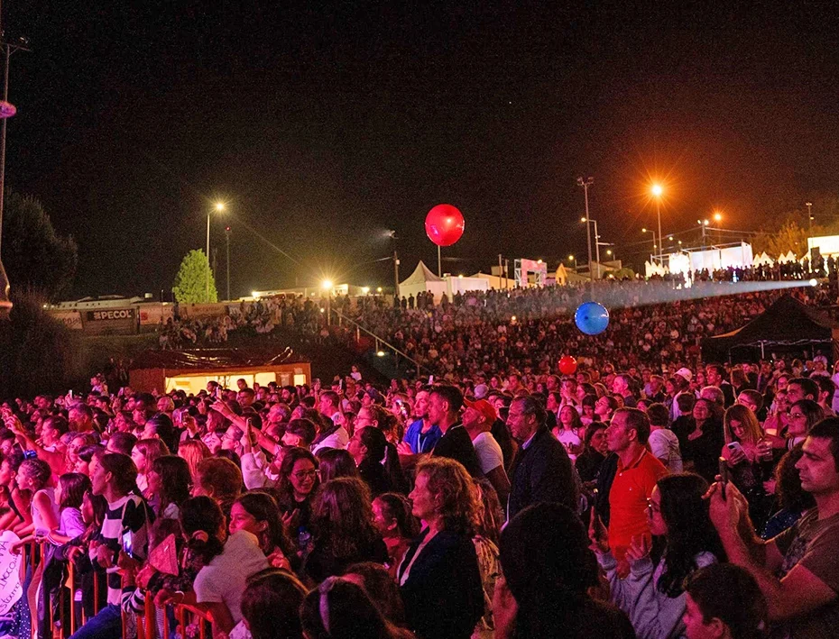 Feira Da Vinha E Do Vinho