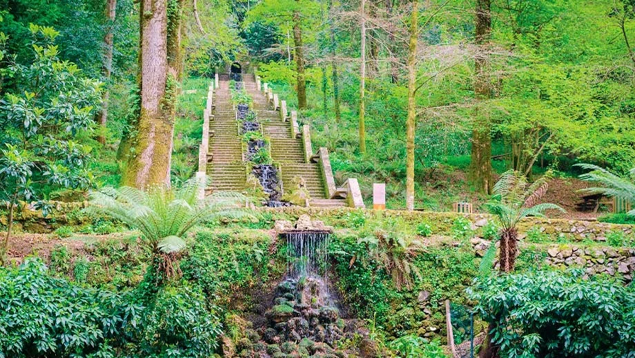 Mata Bussaco