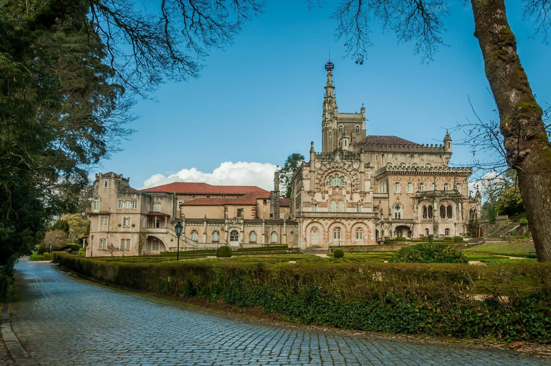 Mata Do Bussaco