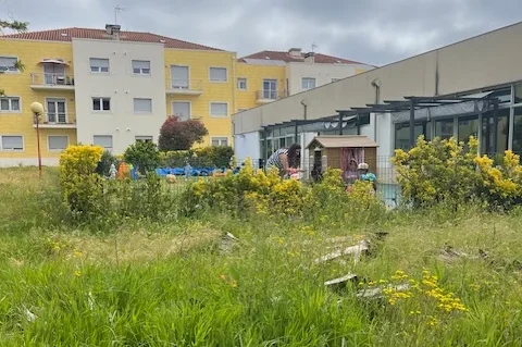 Pbichos