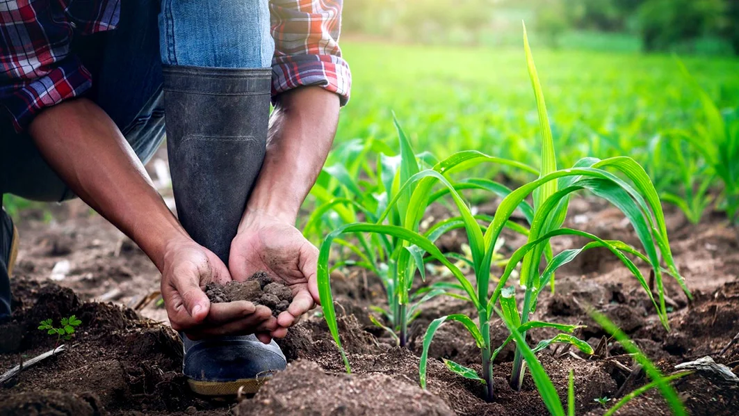 Agricultor