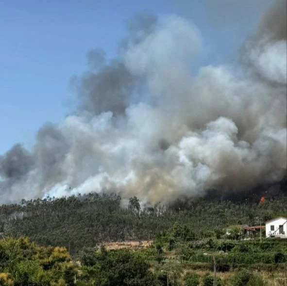 Arouca Fogo