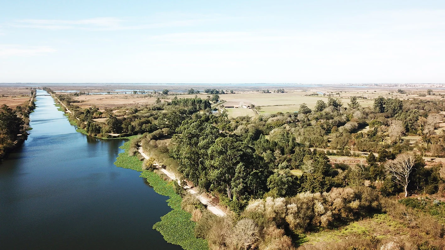 Baixo Vouga Lagunar