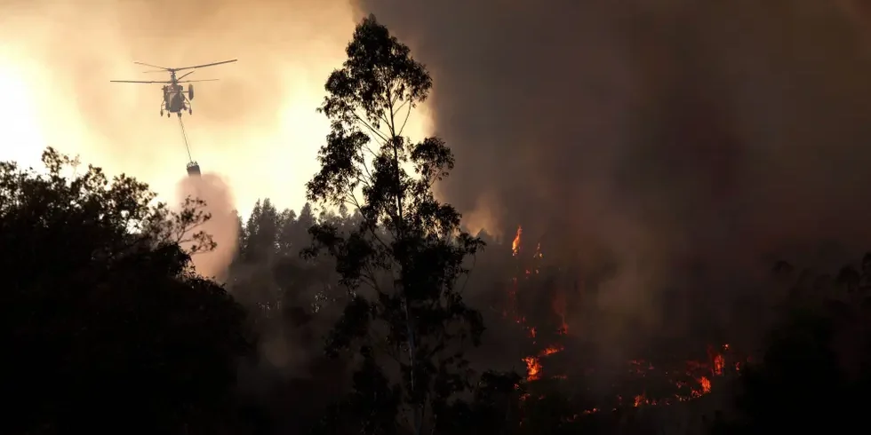 Incêndios 1