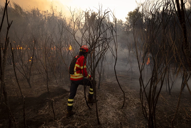 Incendios Bombeiros