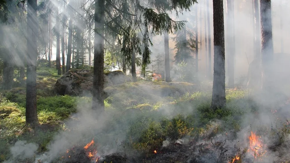 Incendios Ourem