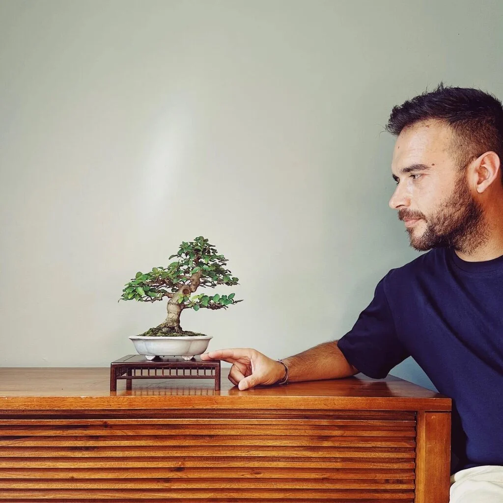 Bonsai