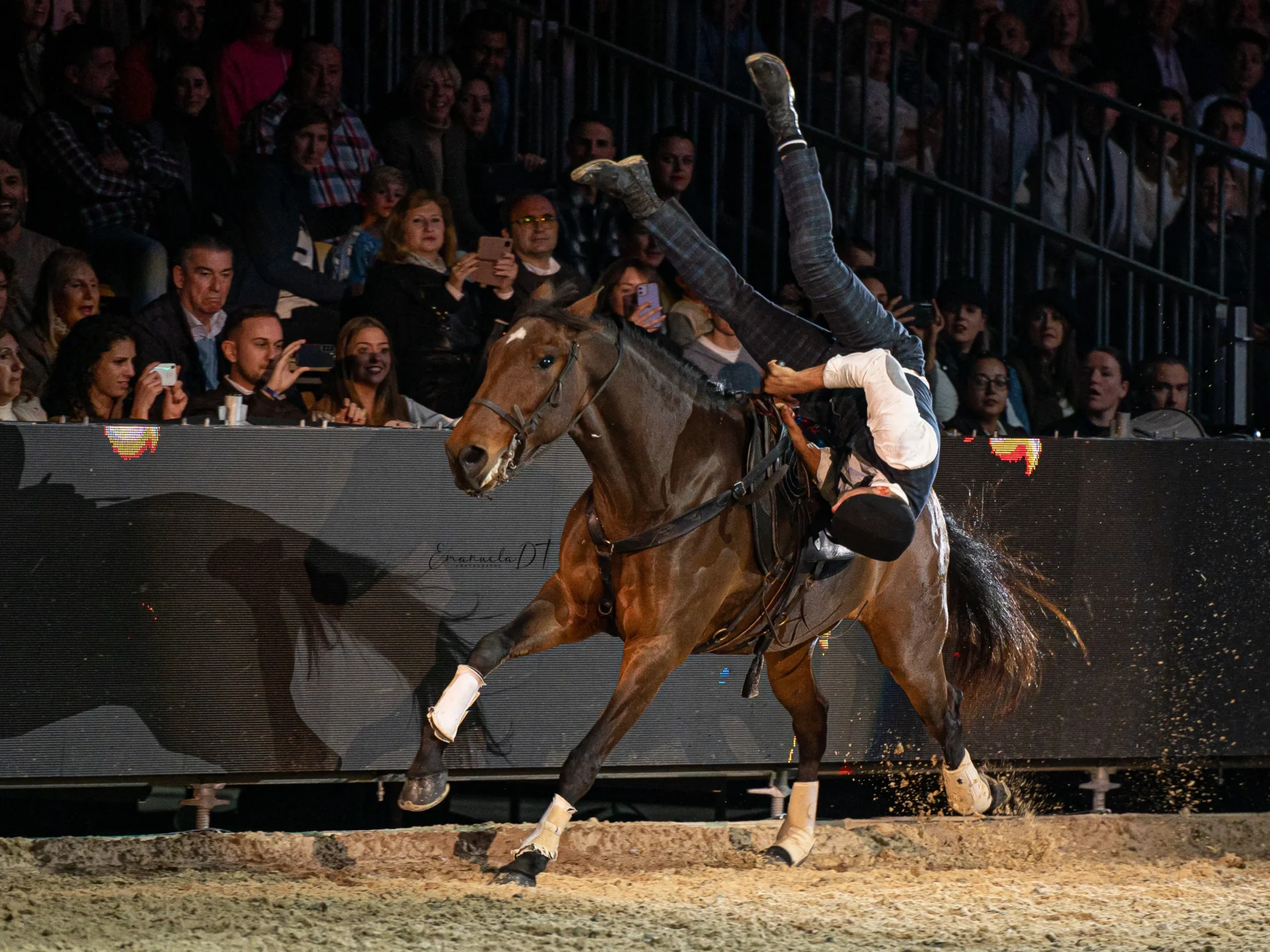 Cavalaria Acrobatica