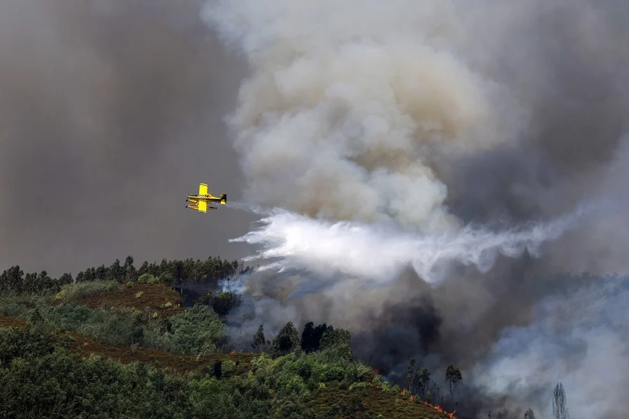 Fogos Incendios