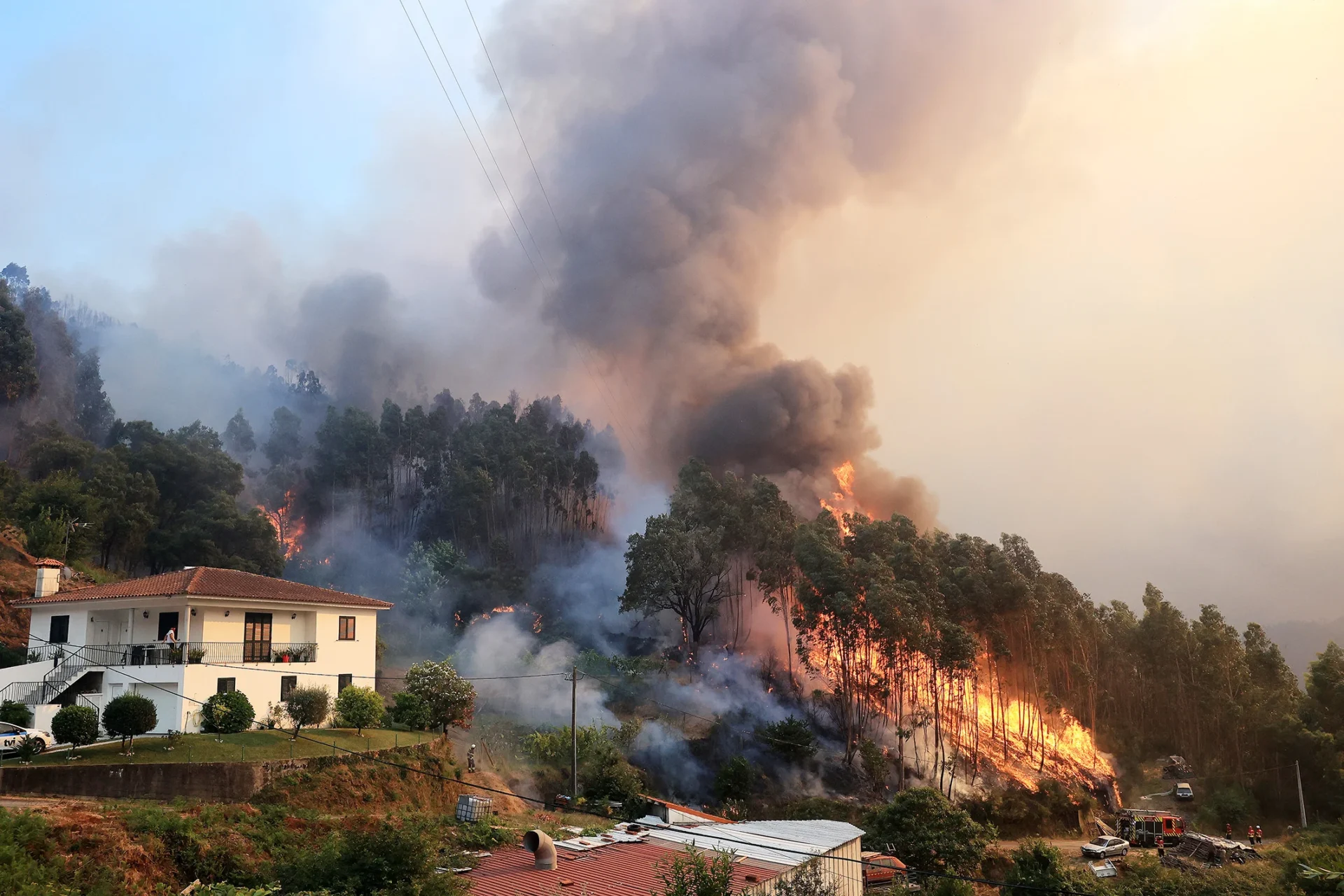 Incêndio Arouca 1