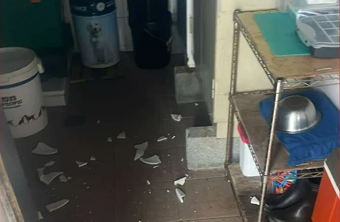 Afetu