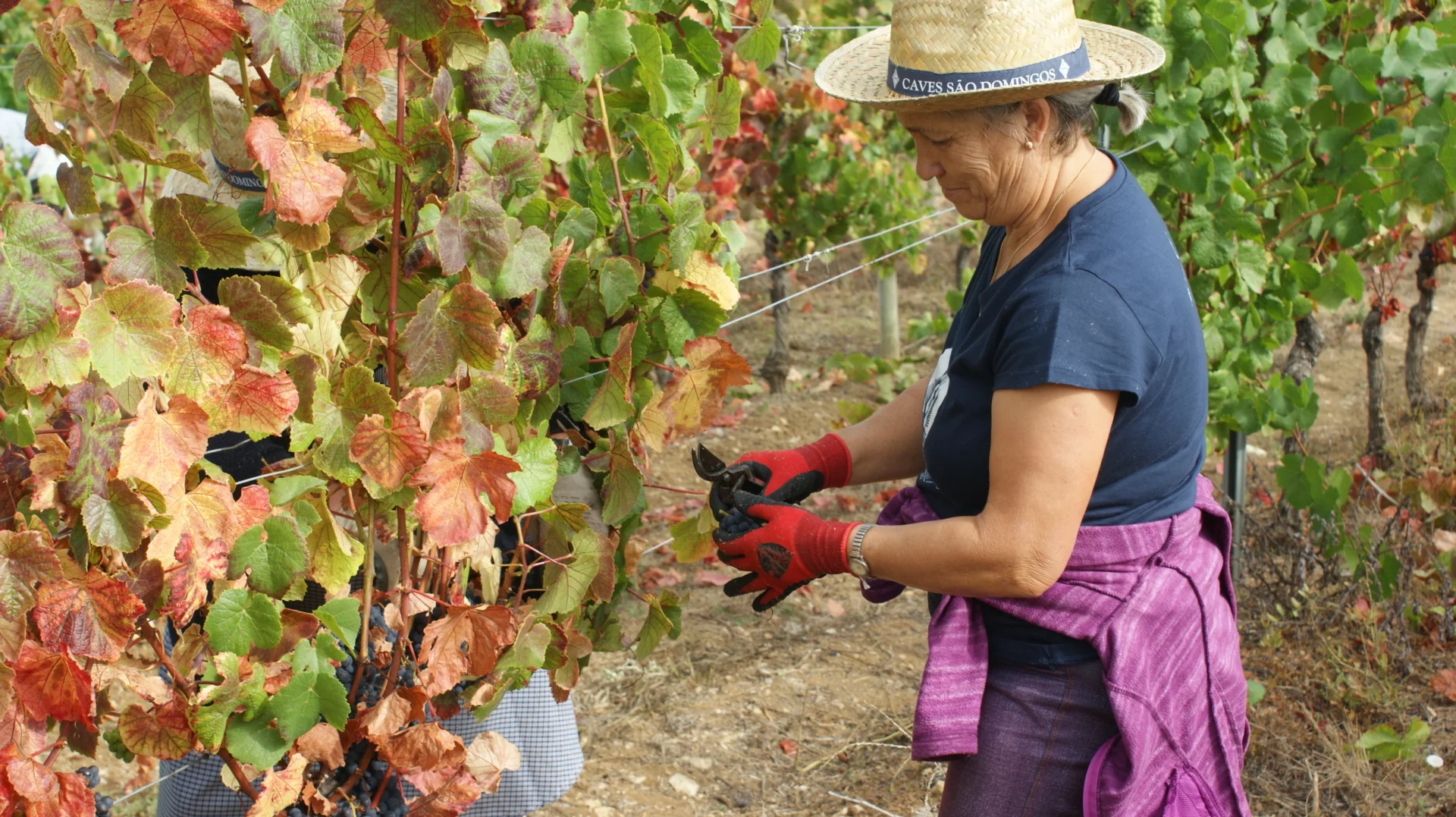 Caves