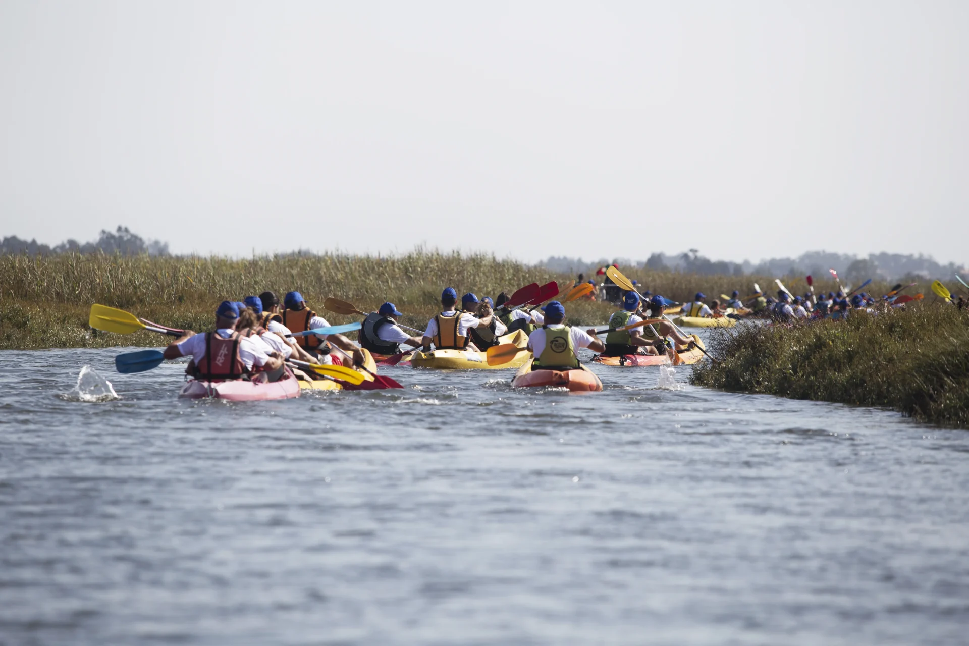 Kpasseio De Barco