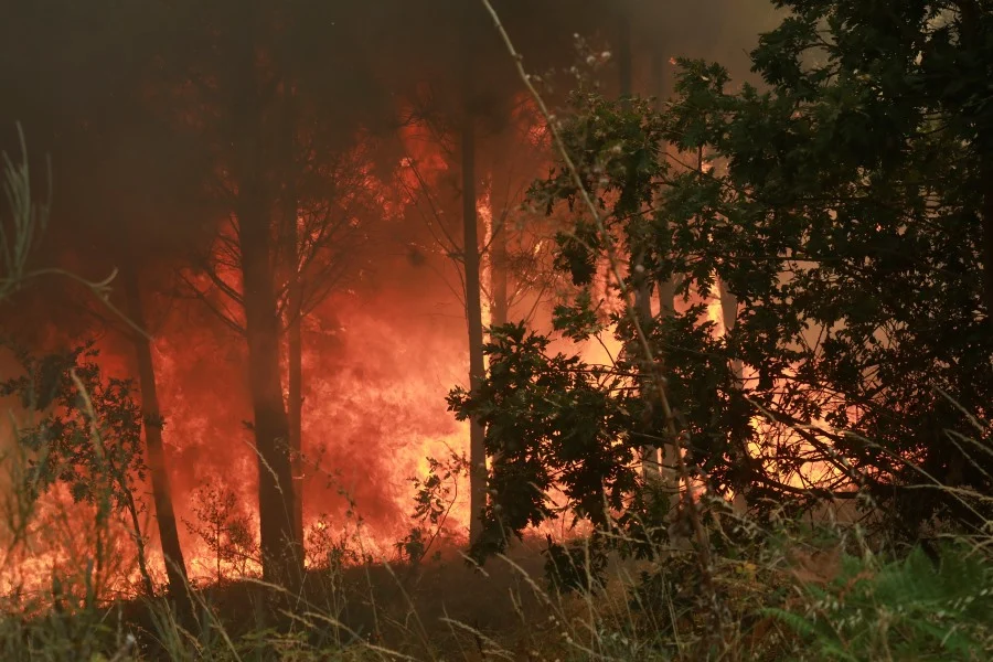 Linha De Fogo