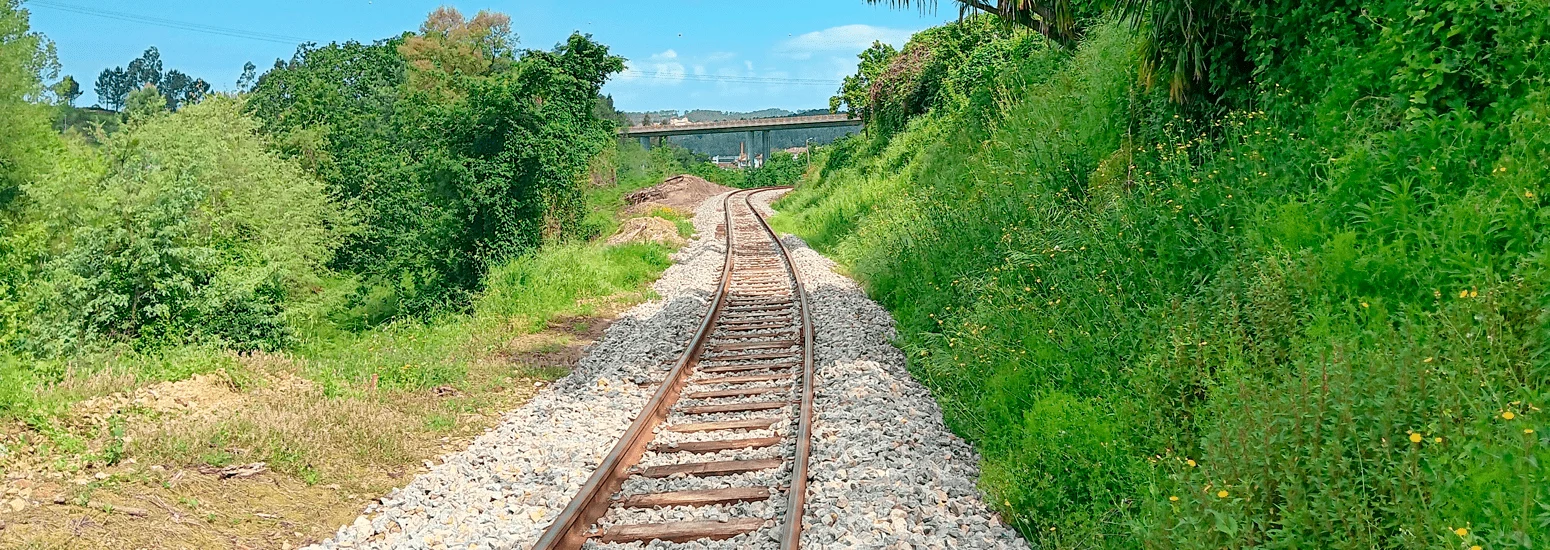 Linha Do Vouga Entre Oliveira De Azeméis E Sernada