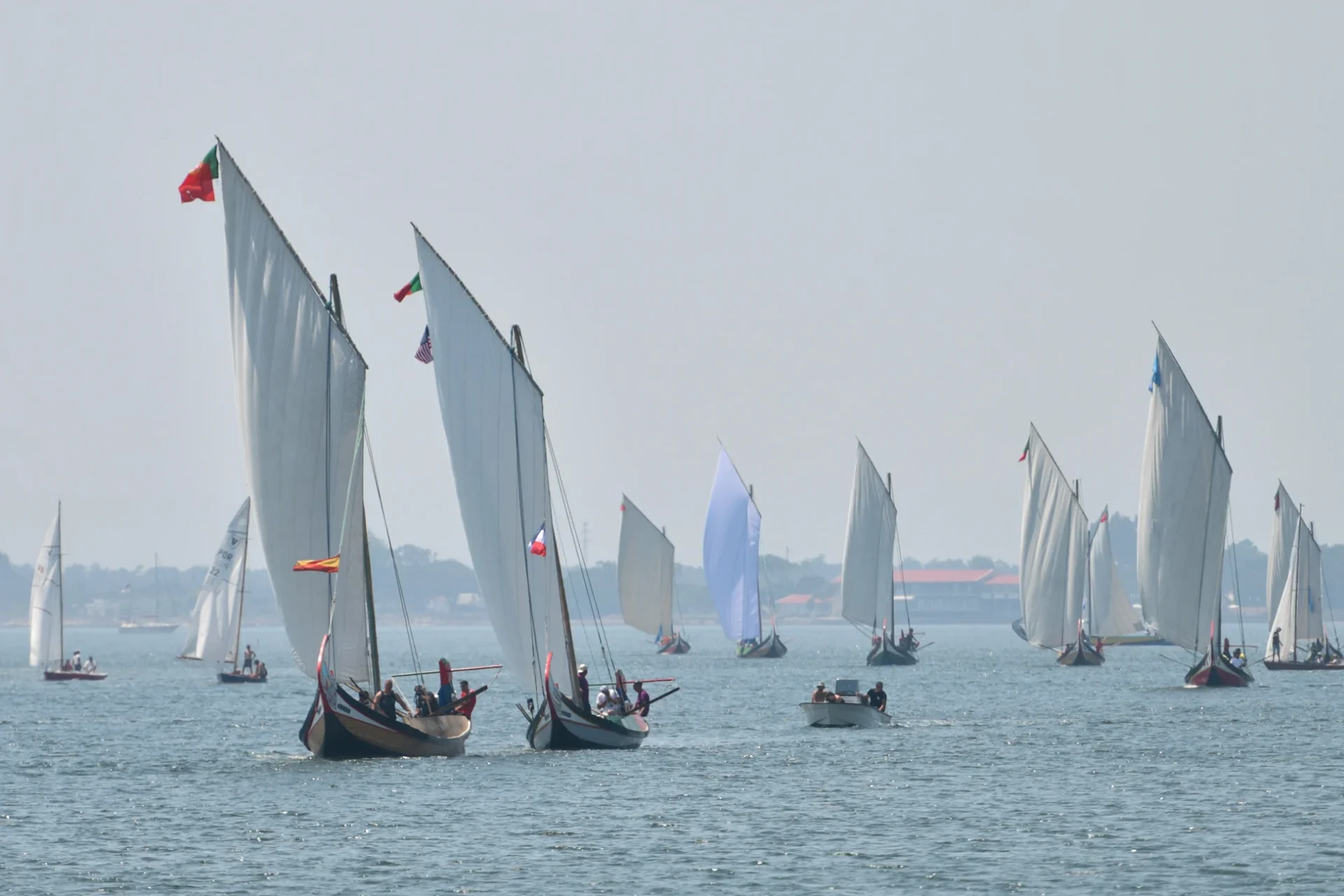 Regata Moliceiros Murtosa 2025 8