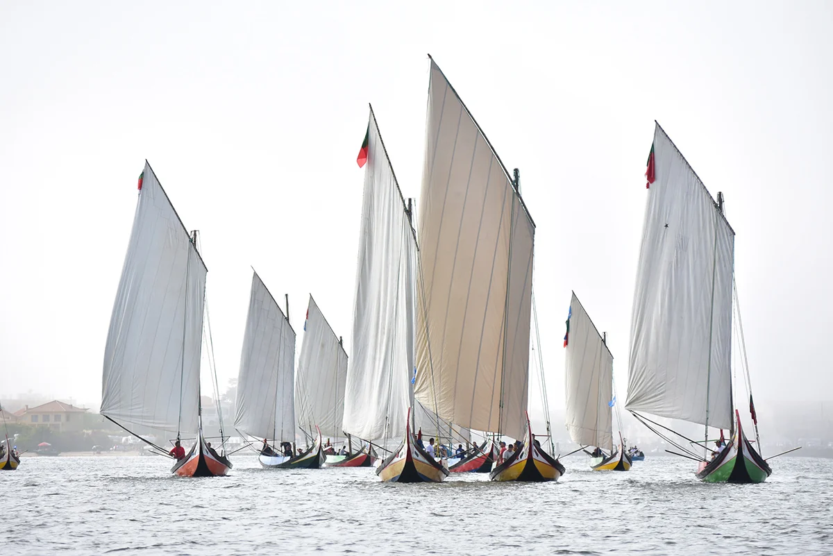 Regata