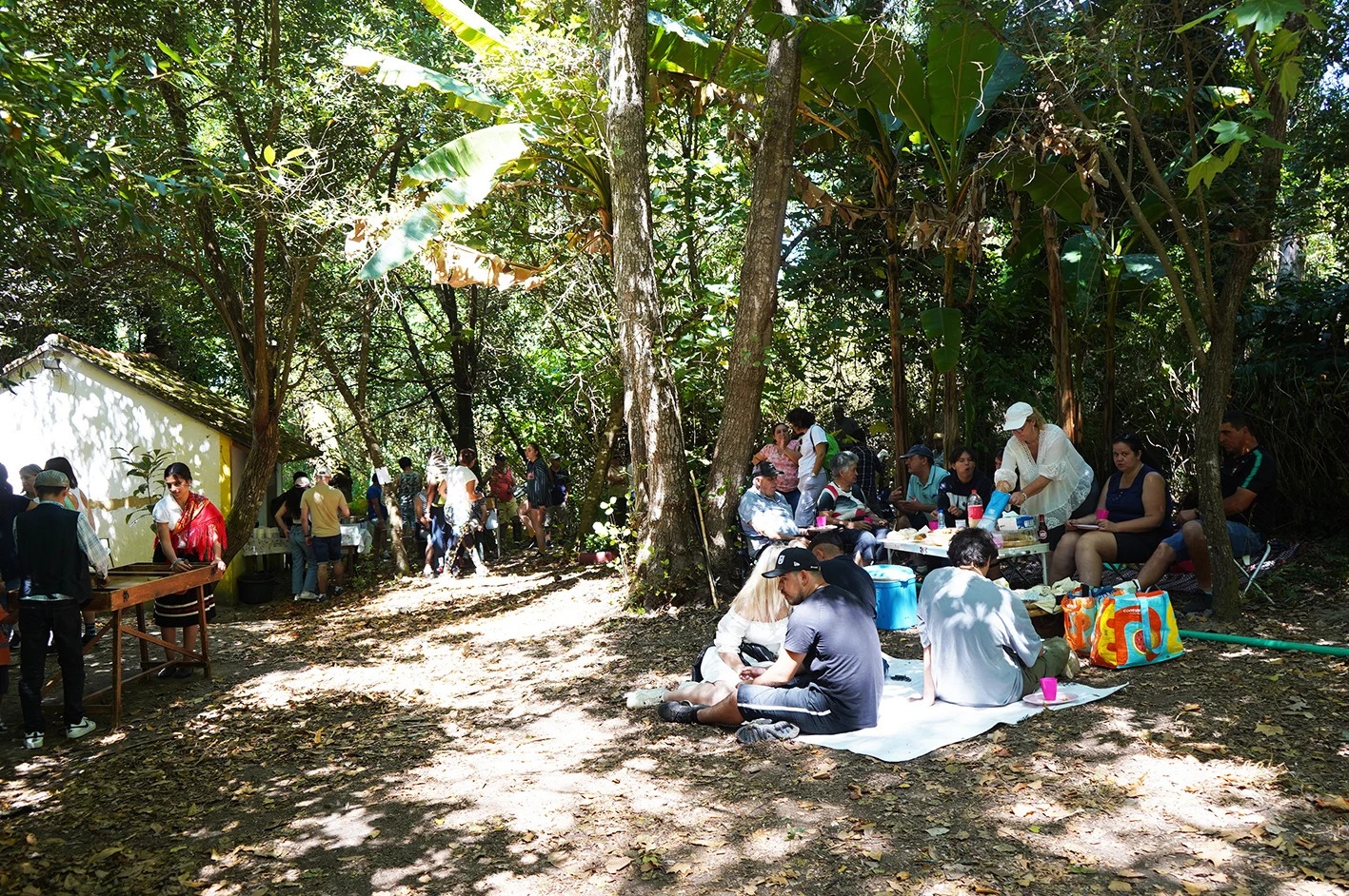 Reviver Aldeia Do Boco