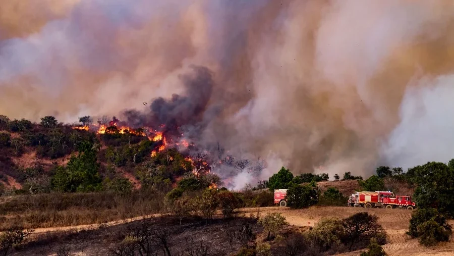 Combate A Incendios