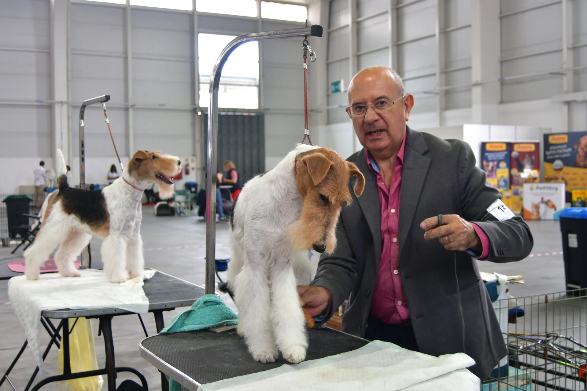 Exposição Felina E Canina 2024 Rc 5