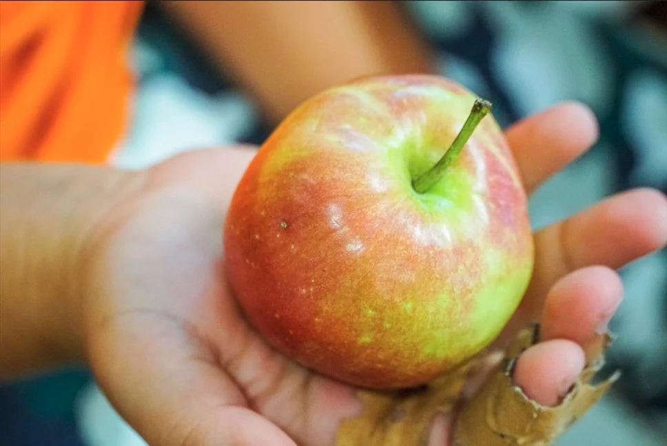 Rv Frutaescolasaojoao