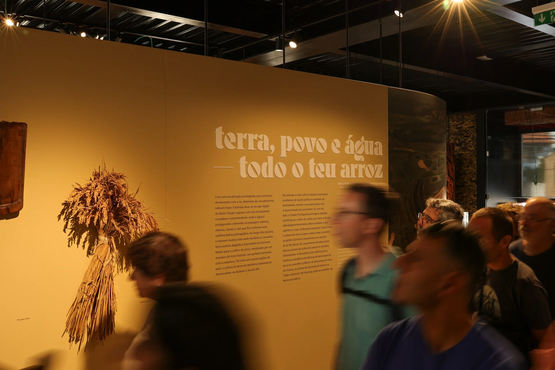 S Museu Historia Arroz 1aniv