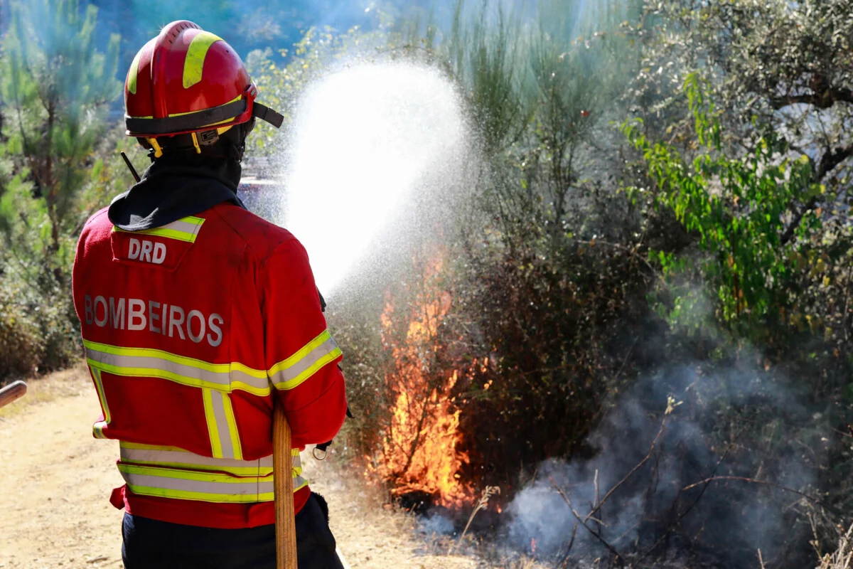 Albergaria Incendios