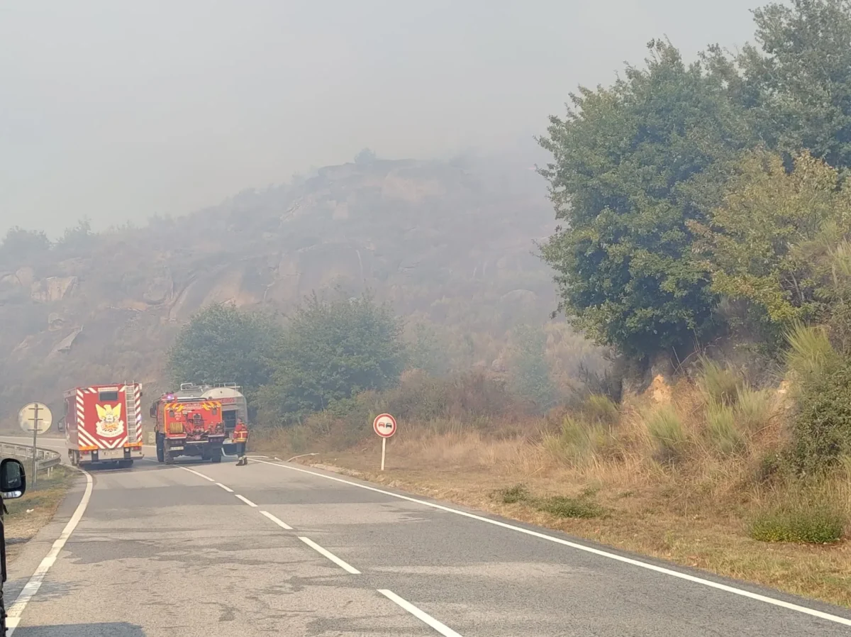Incendio Oliveira Do Hospital1