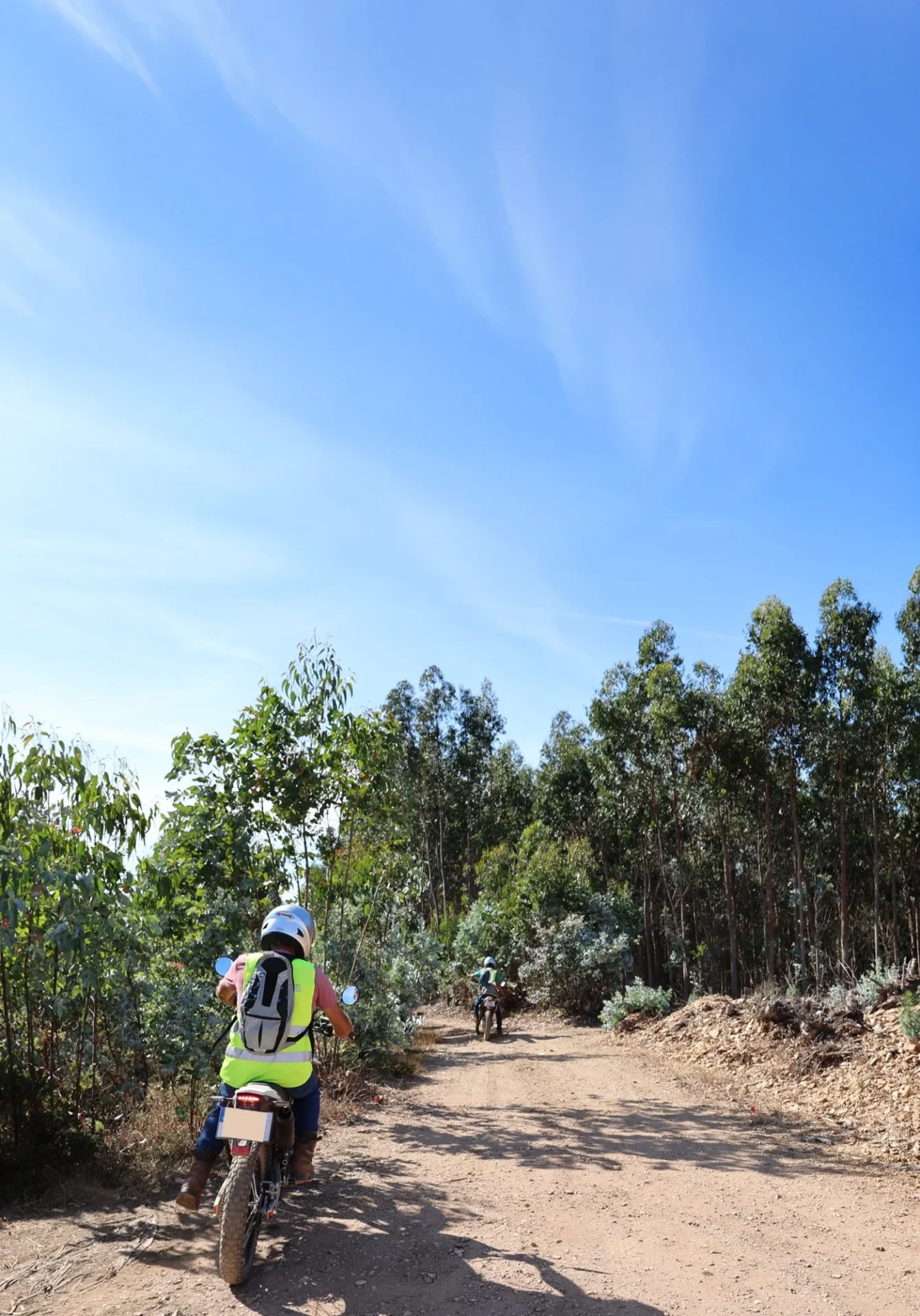 Vigilância Móvel Floresta Anadia