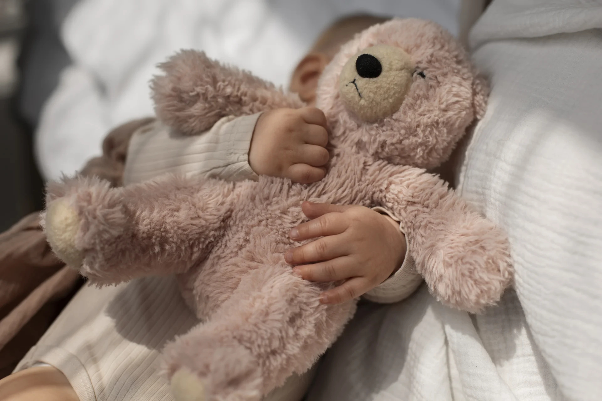Abuso Criamça Peluche
