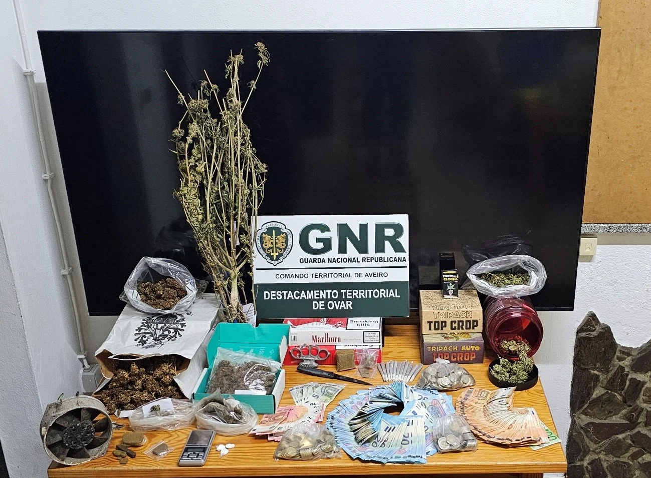 Gnr Aveiro Apreensão