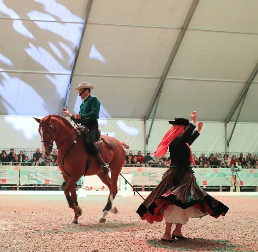 Pcavalos