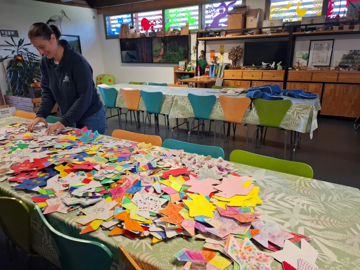 Solidariedade Mealhada