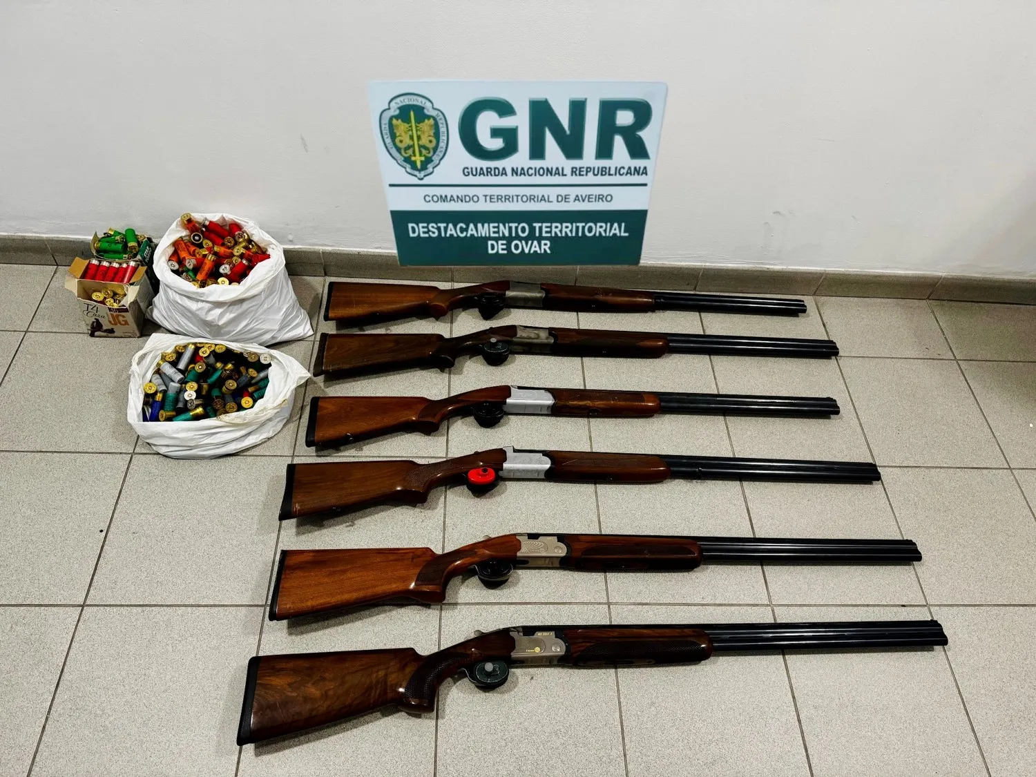 Armas Apreendidas Estarreja E Cambra