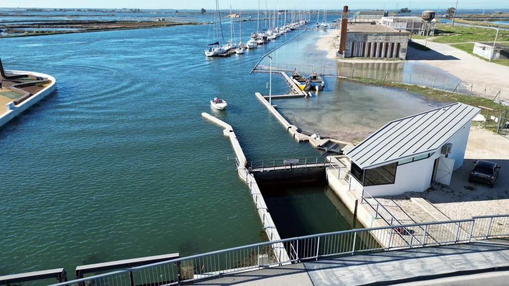Comportas Ria Aveiro