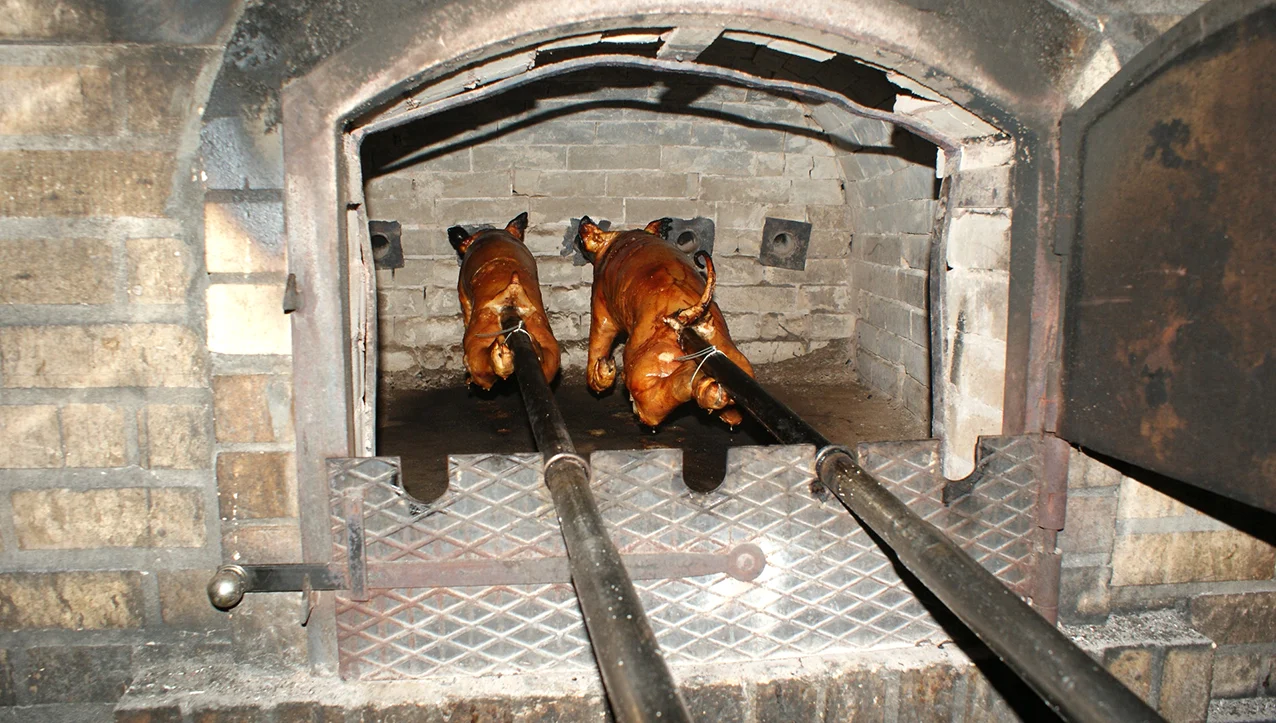 D LeitÃodabairrada