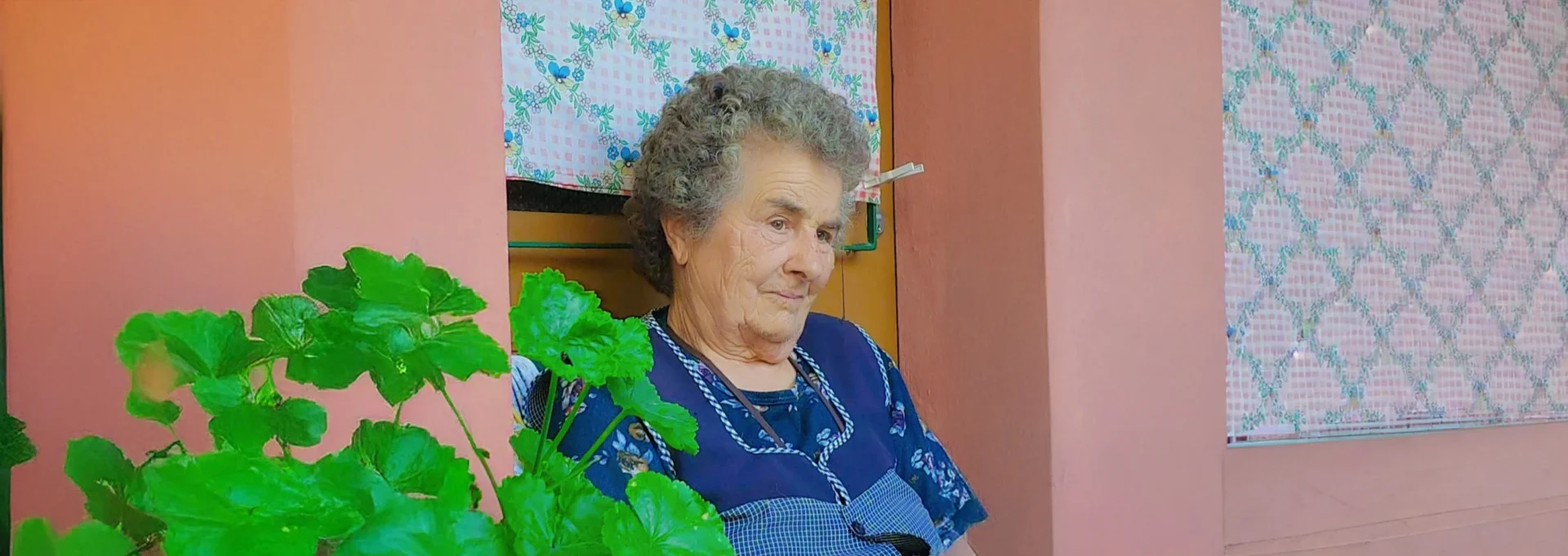 Desaparecida Oliveira Net
