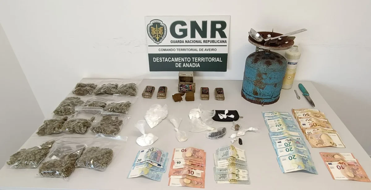 Gnr Aveiro Apreensao Mealhada