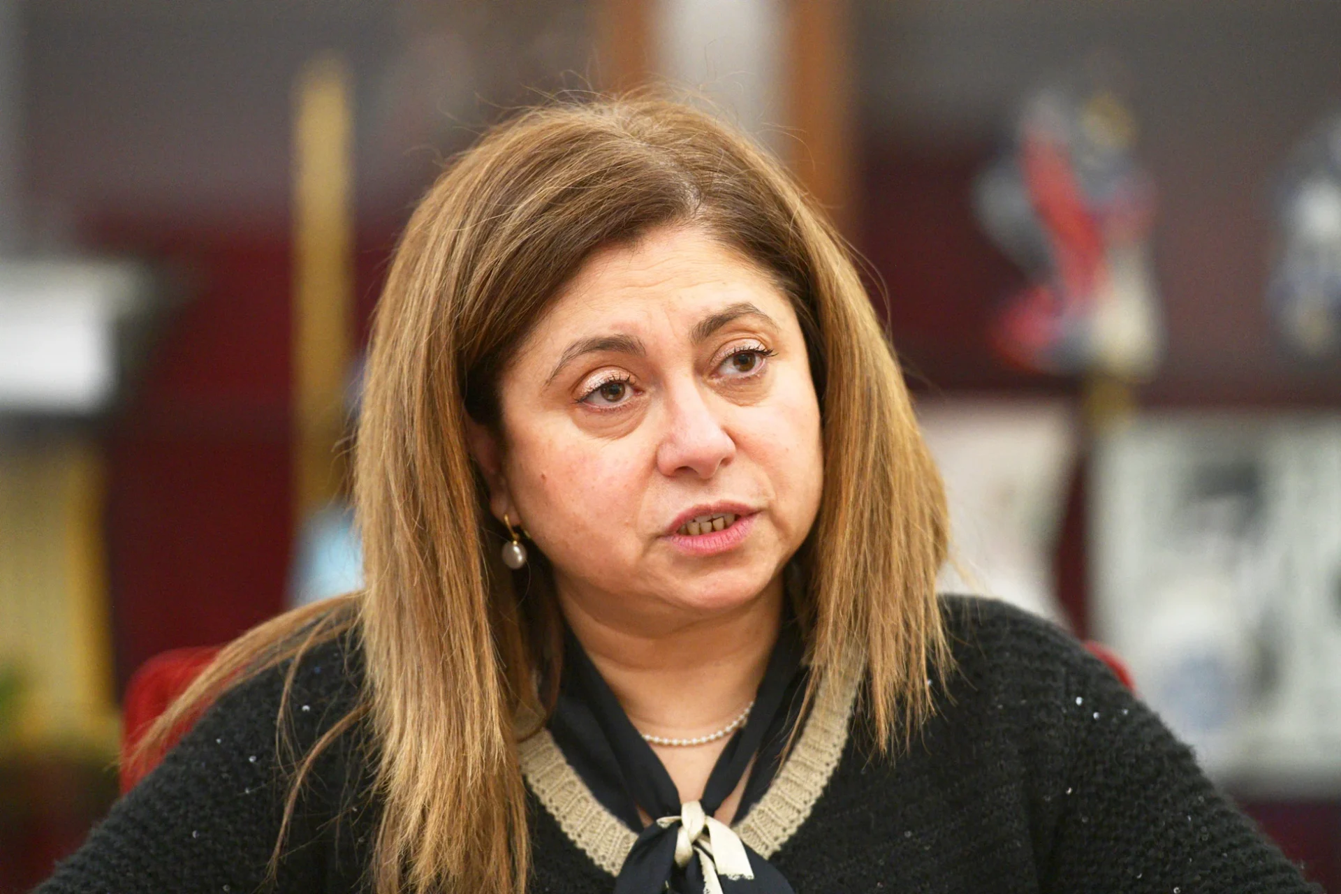 Isabel Simoes Pinto Presidente Cmestarreja