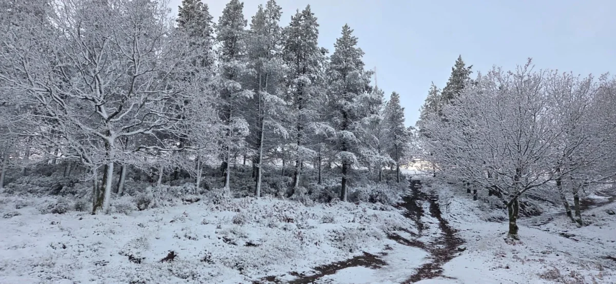 Neve Lousa 2025