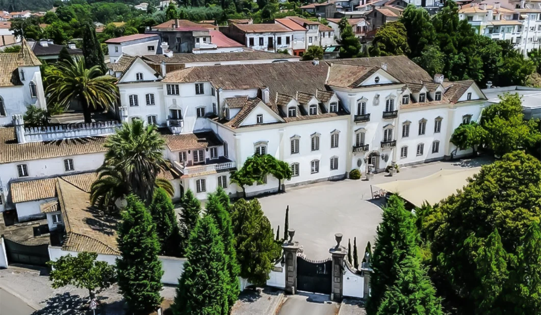 D Palaciodaborralha